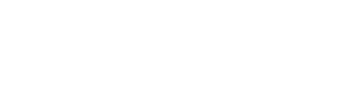 SINAVIA Limitada